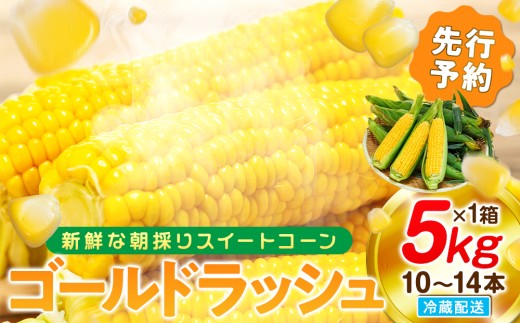 【先行予約 6月下旬から出荷】 スイートコーン 約5kg 10～14本 冷蔵 国産 とうもろこし 先行予約 ミーナコーン 数量限定 コーン 野菜 新鮮 焼き 蒸し コーン 産地 直送 甘い 甘口 子ども 子供 種子 肥料 さわやか とうもろこし すっきり 糖度 黄色 人気 おすすめ スイートコーン 愛知県 南知多町 ふるさと納税とうもろこし ふるさと納税スイートコーン ふるさと納税コーン