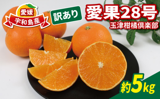 愛果28号 ( 紅まどんな と同品種) 訳あり 5kg 家庭用 玉津柑橘倶楽部 先行予約 愛媛 みかん 愛媛みかん 愛媛蜜柑 愛媛ミカン 訳アリ 訳あり品 ミカン 高級 ブランド 限定 品種 ゼリー 甘い 玉津 mikan 予約受付 果物 フルーツ 柑橘 愛果 濃厚 甘味 蜜柑 産地直送 数量限定 国産 愛媛 愛媛県産 宇和島 B015-072026