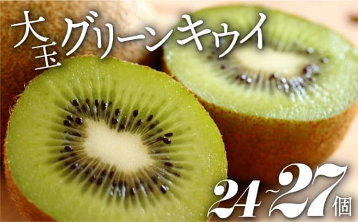 【先行予約】【2025年1月中旬から順次発送】生産量日本一！愛媛県産 キウイフルーツ（24個から27個入り）　愛媛県大洲市/幸野観光なし園 [AGBD004]キウイ フルーツ かき氷 果物 スムージー おやつ ジュース キウイフルーツ ヨーグルト 手作りスイーツ お菓子作り デザート