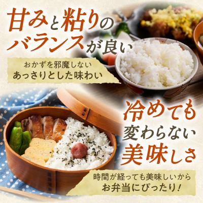 ふるさと納税 清水町 精米したての新鮮な味わい!北海道産 ななつぼし 10kg |  | 02