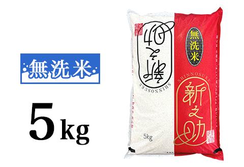 48-DR051【無洗米】新潟県長岡産「新之助」5kg