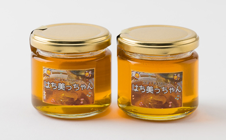 天然はちみつ「はち美っちゃん」　百花蜜　150g×2個【1364864】