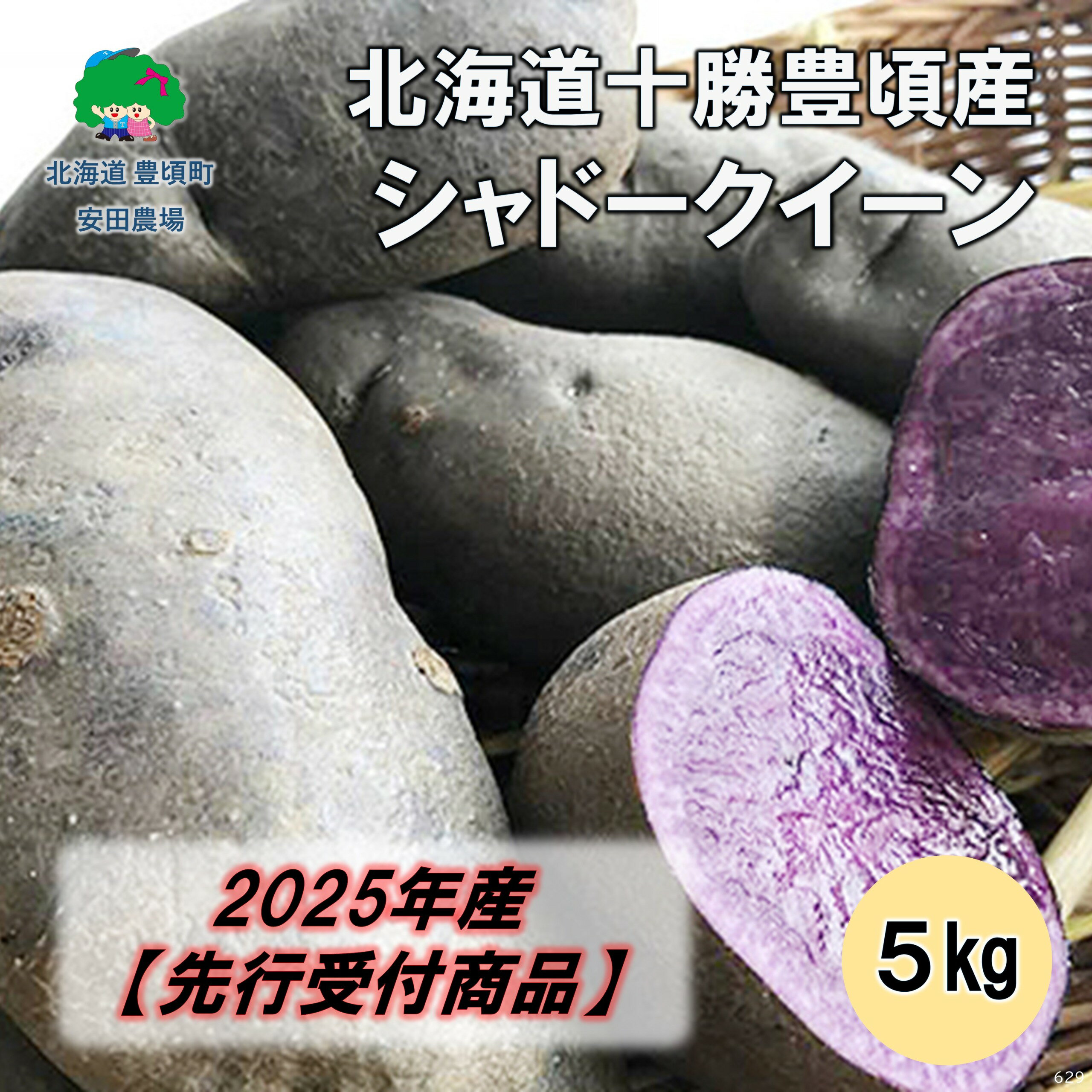 【ふるさと納税】【2025年産】（先行受付）北海道十勝豊頃産 シャドークイーン 5kg［安田農場］" 北海道 十勝 豊頃町 " 先行予約 予約 特産 農家直送 数量限定 送料無料 じゃがいも いも 芋 ホクホク ほくほく 甘い 野菜