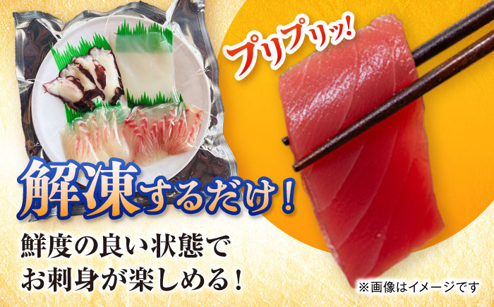 【6回定期便】漁師の極み刺身パック（匠）1皿 五島市/Sun Sea Go Company 魚 おまかせ お任せ 鮮魚 五島列島 [PGL023]