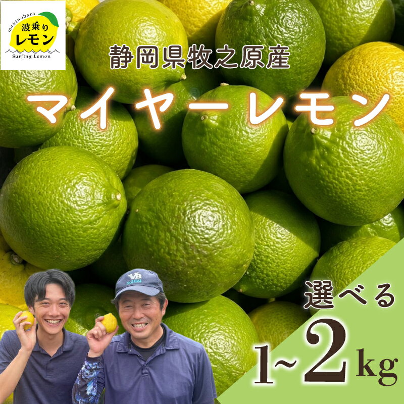 【ふるさと納税】 牧之原産 波乗りレモン マイヤーレモン 選べる 内容量 1~2kg 国産 Lemon 檸檬 柑橘類 柑橘 フルーツ 果物 酸っぱい 果肉 酸味 防腐剤不使用 自宅用 贈答品 くだもの 産直 イエローレモン おすすめ 美味しい まいやーれもん 静岡県 牧之原市