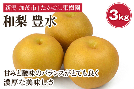 【2026年先行予約】 たかはし果樹園 謹製 新潟県産和梨 豊水 約3kg《9月上旬～順次配送》ほうすいたかはし果樹園 豊水梨
