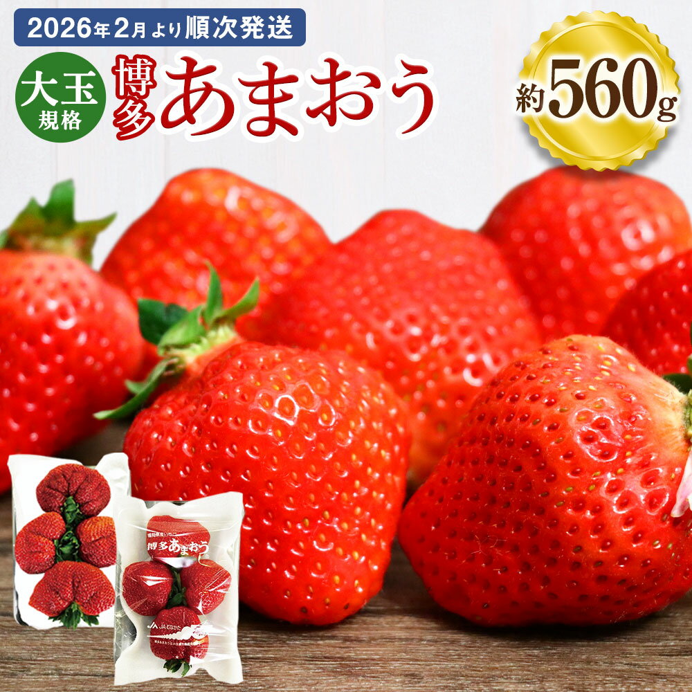 【ふるさと納税】大玉規格 博多あまおう 約280×2パック 約560g 国産 九州 福岡県産 イチゴ いちご 苺 果物 くだもの フルーツ 予約 送料無料【2026年2月より順次発送】[G2224]