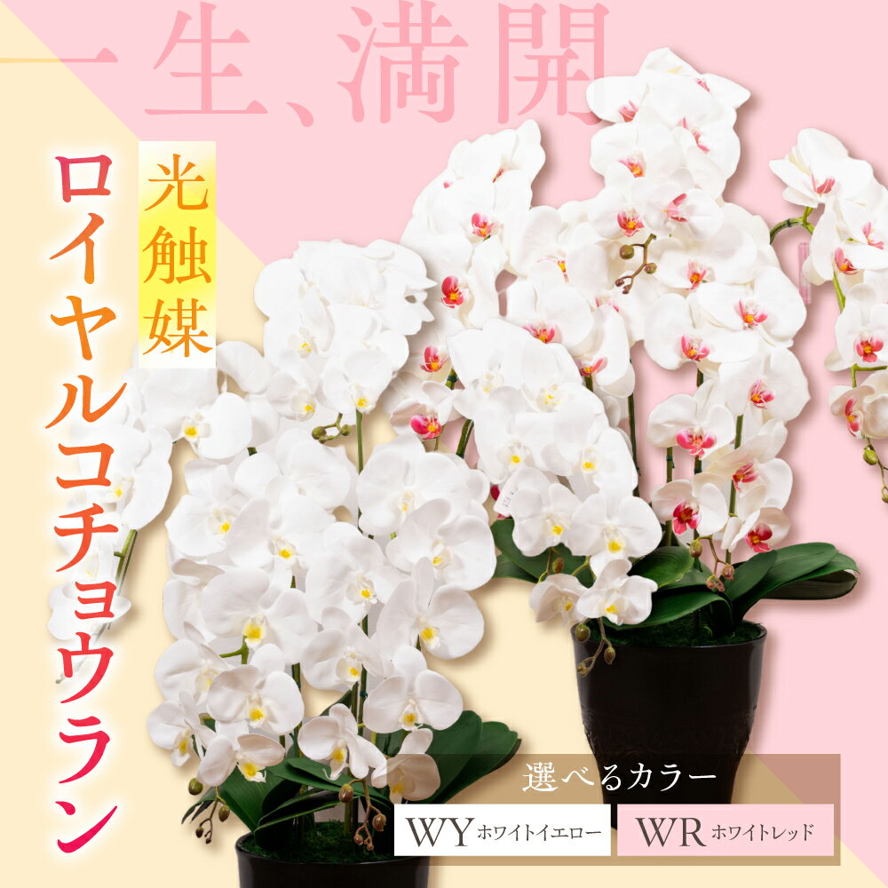 【ふるさと納税】選べるカラー 光触媒ロイヤルコチョウラン 造花 アーティフィシャルフラワー 贈答 法人 白 ピンク 赤 黄色 胡蝶蘭 メリエンダ[mt2208]