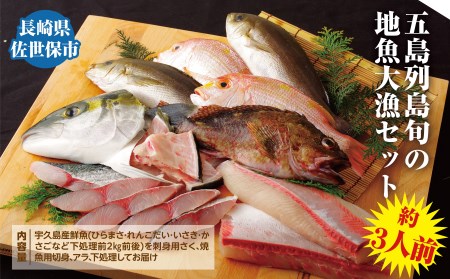 【地魚】五島列島旬の地魚大漁セット 魚介類 A198