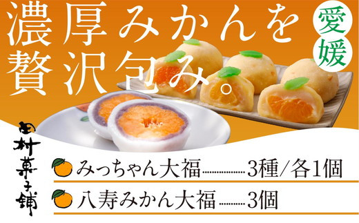 
みっちゃん大福（温州みかん、灘オレンジ、岬まどんな）各種1個・八寿みかん大福3個セット
