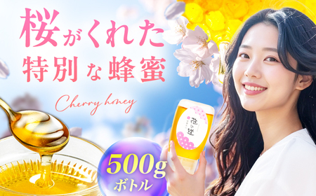 【年内発送！12/22まで！】早春みつ 1本（500g） / はちみつ[AFAI044]