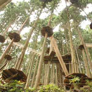 フォレストアドベンチャー祖谷 2名 アドベンチャーコース 利用券 ジップライン アクティビティ 徳島県 三好市 みよし 体験 観光 旅行 チケット 夏休み 自然 アスレチック 子供 家族連れ 体験チケ