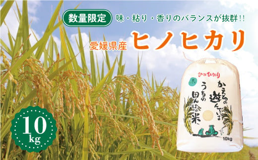 
            先行予約 新米 令和7年産 ヒノヒカリ 10kg 18000円 お米 白米 精米 低温 貯蔵庫 産地直送 国産 農家直送 期間限定 数量限定 特産品 先行 事前 予約 受付 令和7年度産 2025年産 新品種 もっちり 粘り 甘み ひのひかり おいしい おにぎり コシヒカリ に負けない 内祝い お祝い 贈答品 お返し プレゼント 土産 御礼 お礼 お取り寄せ 愛南町 愛媛県 マルハラファーム
          