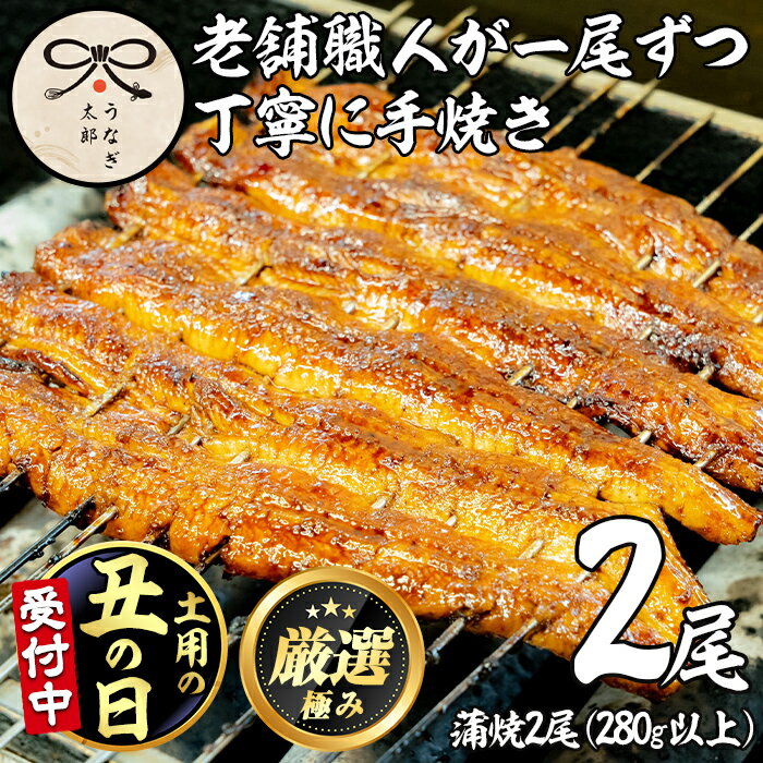 【ふるさと納税】＜丑の日までにお届け！＞鹿児島県産東串良町のうなぎ蒲焼・秘伝のタレ付き(2尾・計280g以上) うなぎ 高級 ウナギ 鰻 国産 蒲焼 蒲焼き たれ 鹿児島 うな重 うな丼 土用の丑の日 【うなぎ太郎】【0263708a-2507】