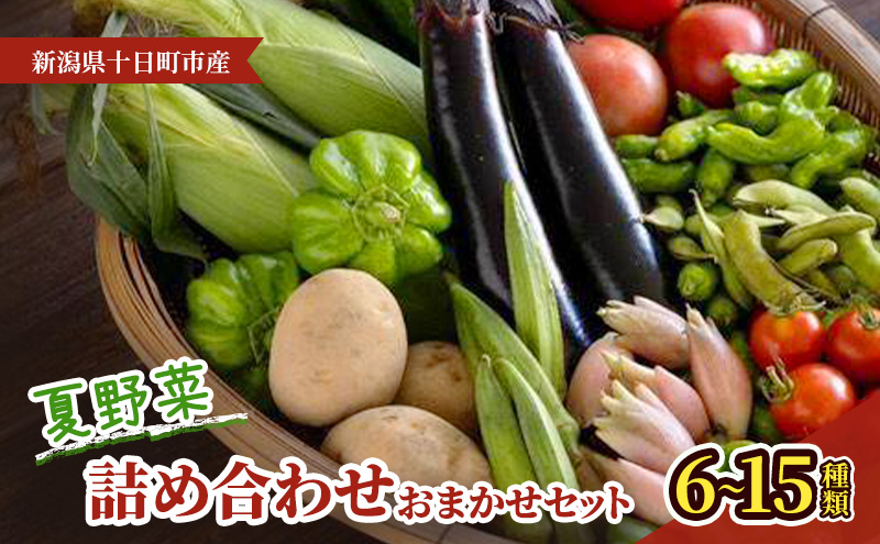 夏野菜詰め合わせ　おまかせセット 野菜　茶豆 とうもろこ