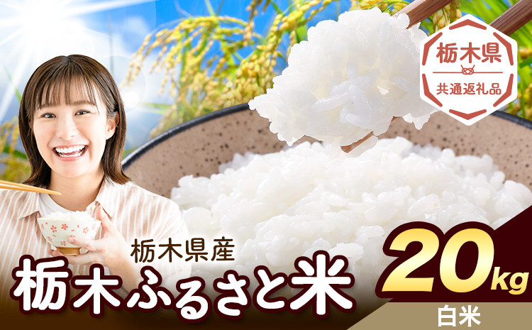 米 栃木 ふるさと米 白米 20kg《7-14日以内に出荷予定(土日祝除く)》栃木県 野木町 米 白米 精米 国産 お米 おこめ お弁当 おにぎり【栃木県共通返礼品】