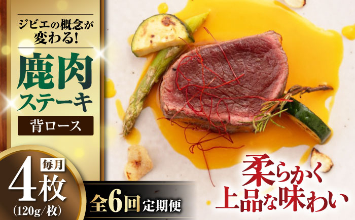 
【全6回定期便】鹿肉 背ロース 120g×4枚 《喜茂別町》【EBIJIN】 ジビエ 鹿 ロース ステーキ ステーキ用 赤身 冷凍 冷凍配送 [AJAO038]
