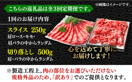 【全3回定期便】【訳あり】博多和牛 しゃぶしゃぶ すき焼き 750gセット《築上町》【株式会社MEAT PLUS】 [ABBP085] 定番しゃぶしゃぶ しゃぶしゃぶ肉 しゃぶしゃぶ鍋 人気しゃぶしゃ