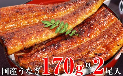 特大サイズ国産うなぎ蒲焼き２本セット