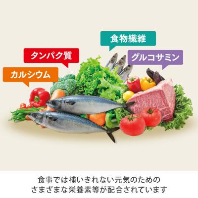 ふるさと納税 伊豆市 からだの素となるたんぱく質や栄養素が気軽に摂れる健康食品「からだの素材」×5か月分 |  | 02