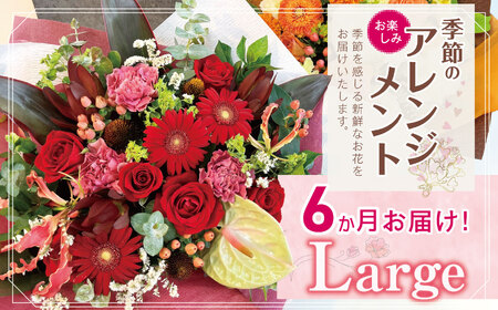 お楽しみ！6か月 お届け 季節のアレンジメント「Large」 | 花 アレンジ タイプ 高さ約42cm 横幅約40cm 
