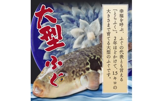 AB-CD1 ＜毎月数量限定＞年末年始や宴会に！とらふく本格刺身セット(2人前) 国産最高級とらふく料理をご自宅で【大田商店】