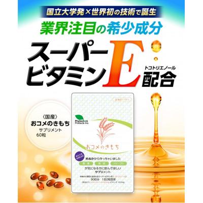 ふるさと納税 宮城県 おコメのきもち