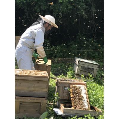 ふるさと納税 恵那市 恵那蜂蜜3本セット(蓮華180g1本、百花1000g1本、栗180g1本) |  | 02