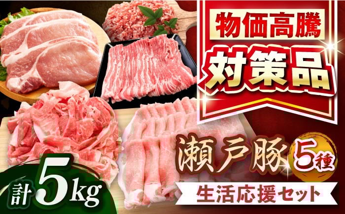 
            【選べる発送月】  瀬戸豚 豚肉 生活応援 セット 計5kg / 豚肉 小分け ミンチ 切り落とし バラ肉 豚ロース しゃぶしゃぶ用 バラスライス とんかつ 豚ミンチ 豚肉セット 小分け 豚 バラエティセット   / 瀬戸市 / 関屋精肉店 [BBBQ160]
          