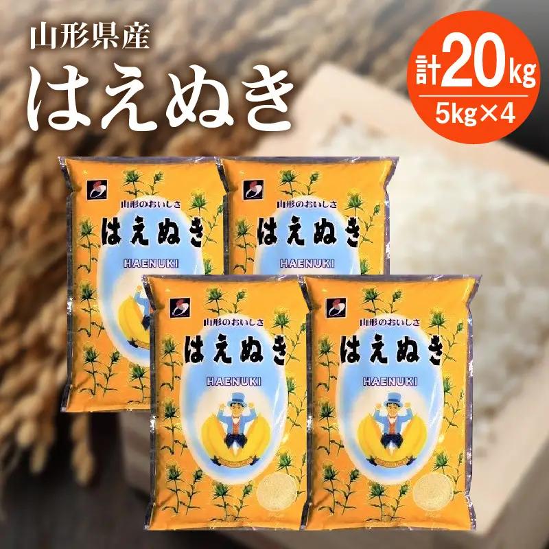 【R8年10月~発送】令和８年産 はえぬき２０ｋｇ（５ｋｇ×４袋）　0059-2614