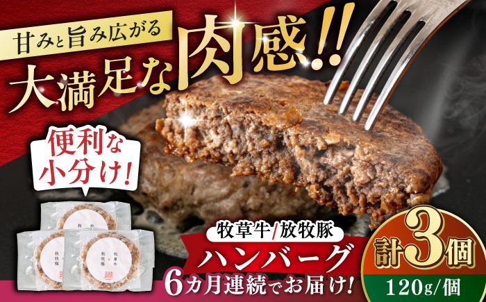 【全6回定期便】　【牧草牛×放牧豚】ハンバーグ 3個 《厚真町》【GOODGOOD株式会社】 ハンバーグ 牛肉 豚肉 小分け 冷凍配送 北海道 [AXBP024]