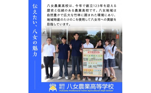 八女茶アイス・八女栗アイスセット 12個入り【ふるさと愛プロジェクト】 八女茶 八女栗 ご当地アイス 共同開発 福岡県 八女市