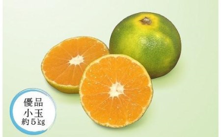 【2026年10月中旬頃から順次発送】【温州みかん】 極早生 家庭用(優品) 小玉 約5kg | 愛媛 【温州みかん】【KK0491】