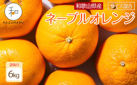 訳あり 森本農園の手選別ネーブルオレンジ 6kg 和歌山県産 サイズ混合 ［北海道・沖縄・離島配送不可］［RN19］［2026年1月上旬から順次発送］