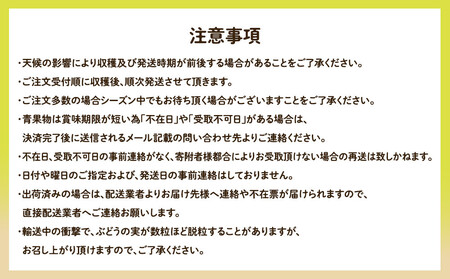 955.【先行予約】【訳あり】シャインマスカット（350ｇ前後）と旬の梨（5玉）セット ※8月下旬頃～9月中旬頃に順次発送【ぶどう マスカット 葡萄 なし 果物 フルーツ くだもの 鳥取県 北栄町】