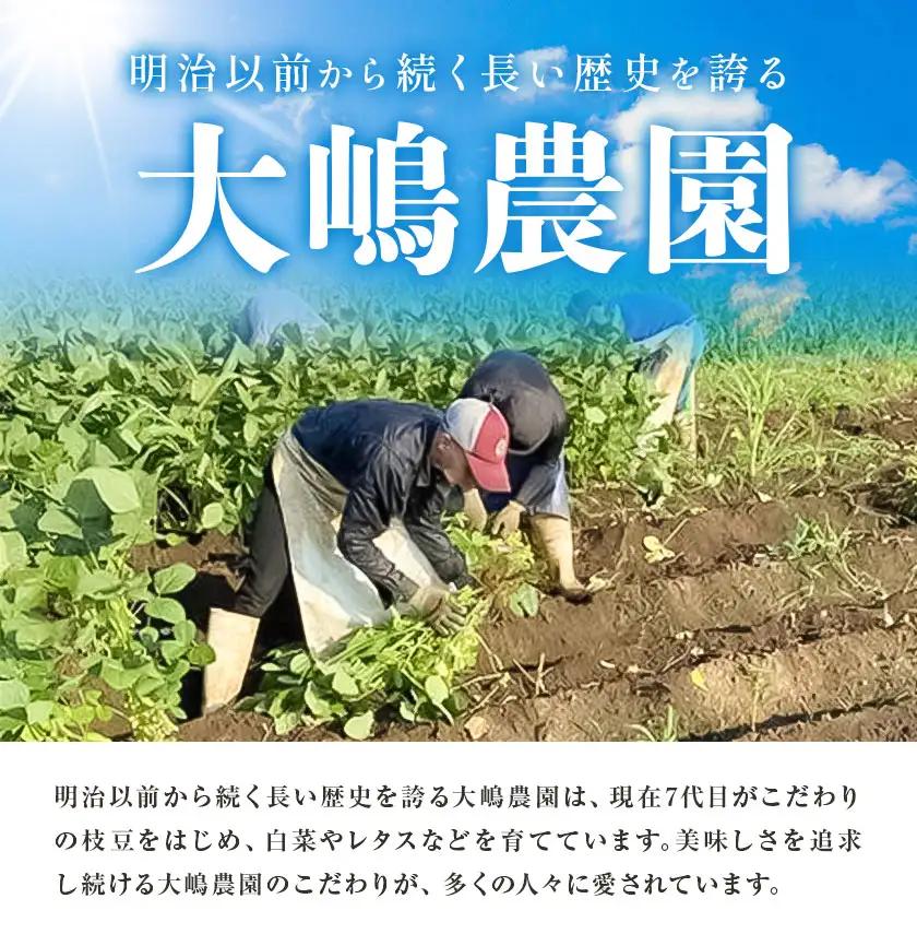 枝豆 えだまめ「陽恵」（茶豆味）4.5kg【配送不可地域あり】(離島)枝豆