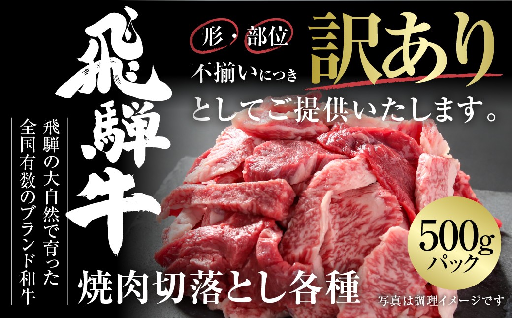 
            訳あり 飛騨牛 焼肉 切り落とし 500g 冷凍真空パック | 肉 お肉 切落し 不揃い 焼肉 焼き肉 やきにく 黒毛和牛 和牛 人気 おすすめ 牛肉 ギフト お取り寄せ [MZ013]
          