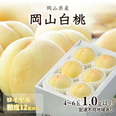 【ふるさと納税】桃 2026年 先行予約 岡山 白桃 ロイヤル 4～6玉 約1kg JAおかやまのもも（早生種・中生種） もも モモ 岡山県産 国産 フルーツ 果物 ギフト 　お届け：2026年7月上旬～2026年8月中旬