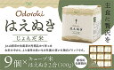 【ふるさと納税】[令和5年産] 「おどろきはえぬき」2合キューブ米9個セット FZ20-583 真空 真空パック 送料無料 小分け 長期保存 便利 はえぬき 1年 贈答用 山形 お取り寄せ 備蓄 備蓄米