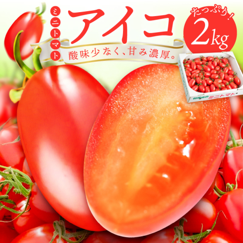 ミニトマト（アイコ）2kg《先行予約》2027年1月上旬より順次発送予定