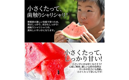 《先行予約 2026年7月中旬頃～7月下旬頃発送》山形県産 ひとりじめぼんぼん 2玉 3kg前後 FSY-2395