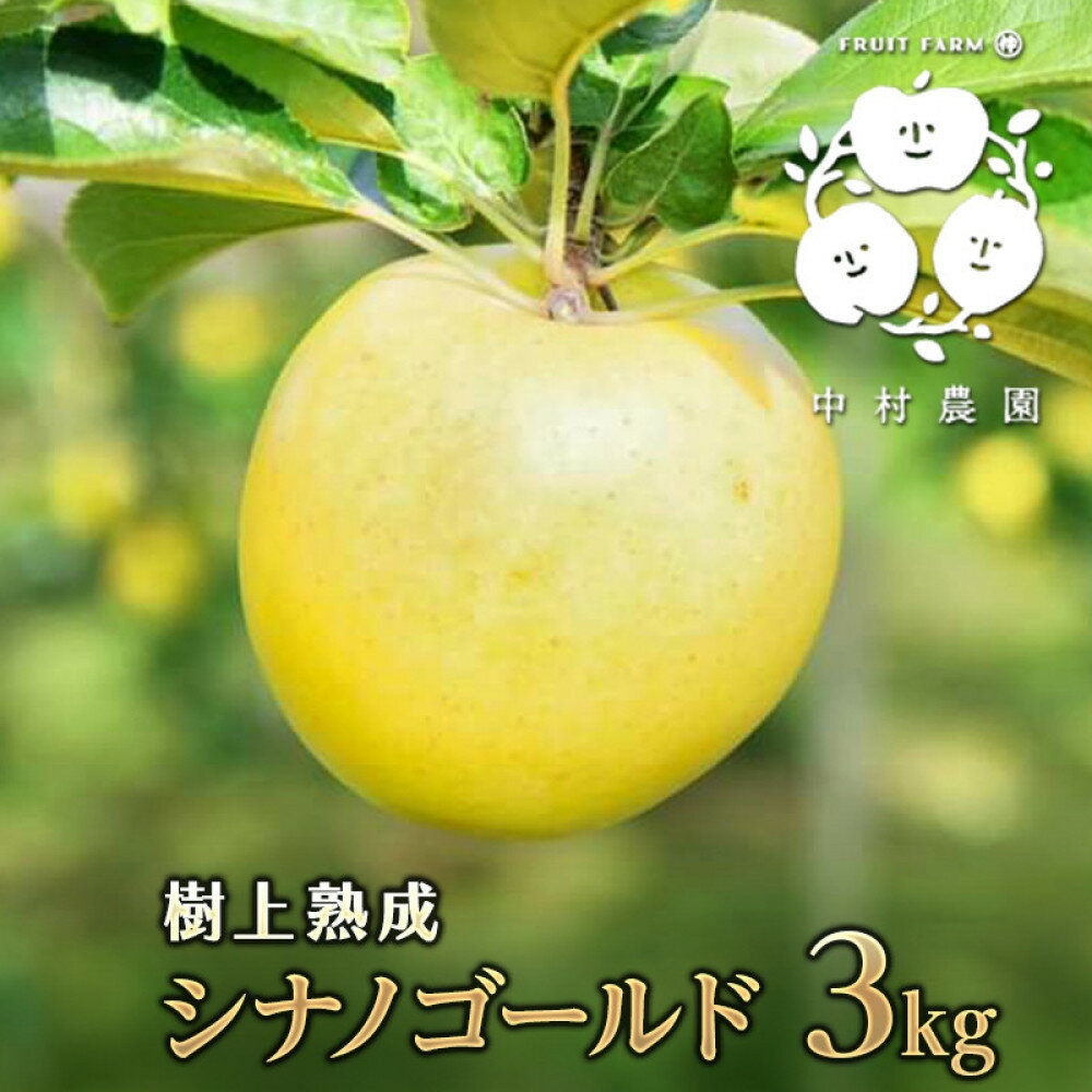 【ふるさと納税】【10月中旬発送 先行予約】樹上熟成　シナノゴールド 3kg