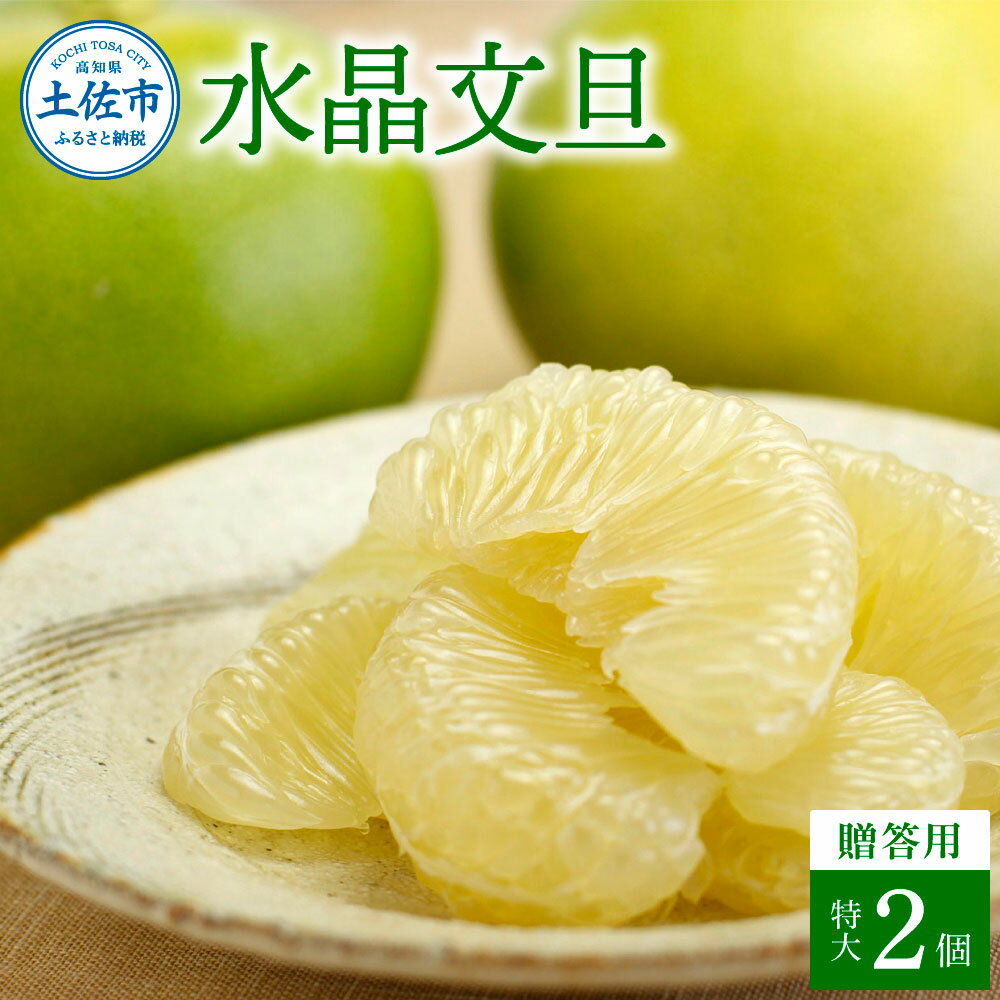 【ふるさと納税】文旦 贈答用 特大 約1.5kg(2個入) ぶんたん ブンタン 水晶文旦 特選 果物 柑橘 フルーツ 特大サイズ お取り寄せ 特産品 美味しい 高知県産 美味しい ギフト 贈答品 贈り物 秋 旬 故郷納税 ふるさとのうぜい 返礼品 高知県 高知 16500円