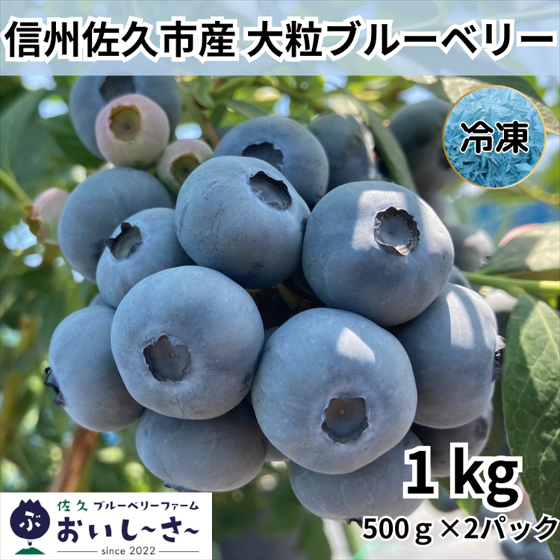 長野県産 冷凍ブルーベリー 約1kg （500g×2袋） ＜2025年7～12月出荷／沖縄・離島は配送不可＞信州 フルーツ 果物 完熟 大粒 甘い 数量限定 旬彩 長野県 佐久市