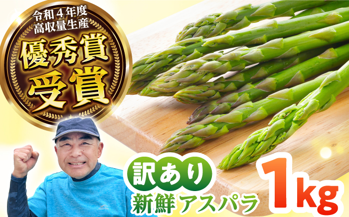 壱岐産 訳アリ アスパラ 1kg≪壱岐市≫【アスパラガス専門やまかわ屋】国産 冷蔵配送 産地直送 新鮮 [JGZ001]