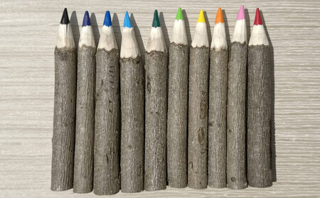 森のいろえんぴつ〈色鉛筆 えんぴつ 色えんぴつ 鉛筆 文具 文房具木材 お絵描き キッズ おもちゃ 知育 玩具 手作り 自然 贈り物 プレゼント ギフト〉