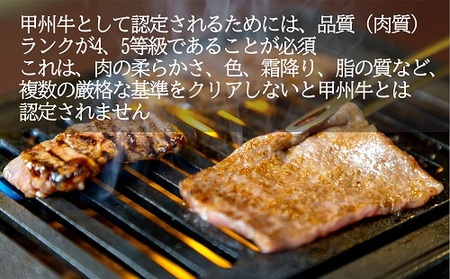 旨みたっぷり、牛タン入り本格ハンバーグ20個（AD-267）