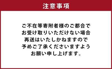 カラダ想いのスパイスカレー（2種4個×5回）毎月【5回定期便】 薬膳ビーフカリー 豚バラジンジャーカリー 薬膳ポークカリー きのこスパイスカレー スープカレーベース バターチキンカレー ベジタブルカレ