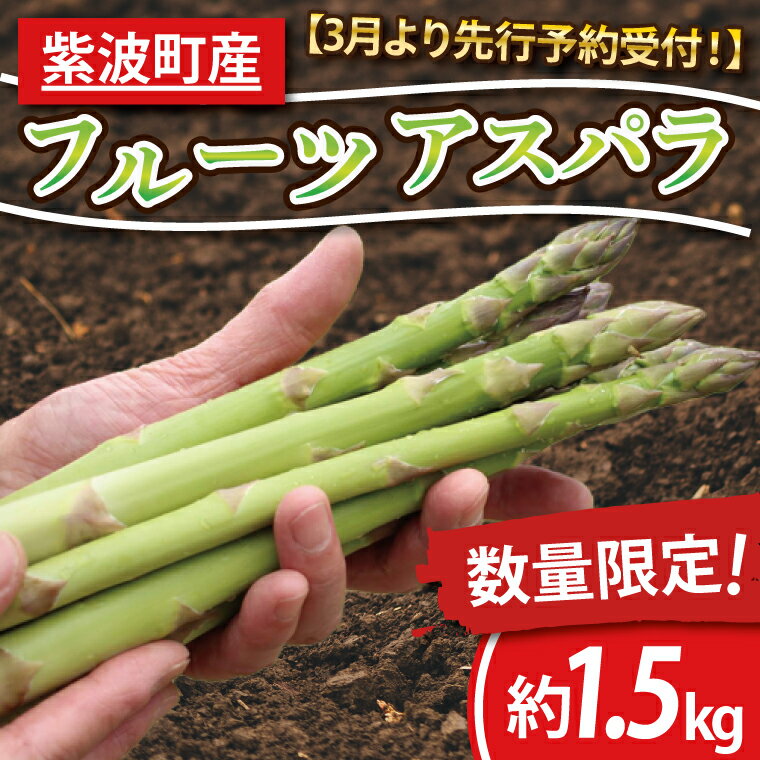 【ふるさと納税】＼先行予約・数量限定／ 春 野菜 アスパラ 「紫波町産フルーツアスパラ 約1.5kg」 露地栽培の野菜 木酢液防虫 新鮮野菜 生でもたべれる リピーター多数 (CS002)