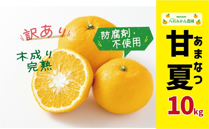 
                  【先行予約 ：2027年3月～】訳あり 甘夏 10kg 10000円 みかん mikan 蜜柑 わけあり あまなつ 夏みかん グレープフルーツ だいだい 家庭用 事前 予約 受付 産地直送 国産 農家直送 糖度 期間限定 数量限定 特産品 ゼリー マーマレード ピール ジュース デザート 人気 限定 おいしい 果実 果肉 フルーツ サイズ ミックス  防腐剤不使用 八百みかん農園 愛南町 愛媛県
                